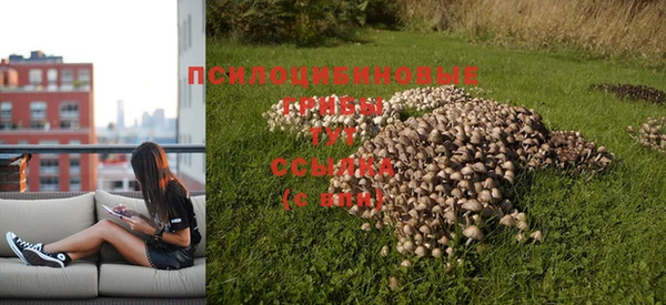 бутират Аркадак
