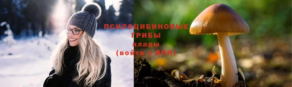 mdpv Сосновый Бор